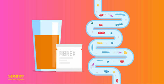 Spannr - Monch Monch for Longevity?